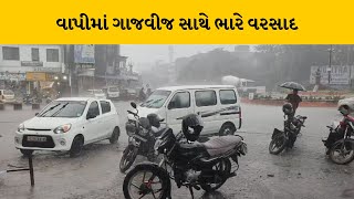 Valsad જિલ્લાના વાતાવરણમાં પલટો, વાપી અને આસપાસના વિસ્તારમાં વરસાદ | MantavyaNews