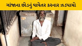 Bhavnagar : SOGએ ગાંજાના છોડનું વાવેતર કરનાર આધેડને ઝડપ્યો | MantavyaNews