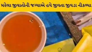 Ahmedabad : બોડકદેવ પ્રાઇડ હોટેલમાંથી જીવતું મચ્છર નીકળ્યું | MantavyaNews