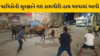 Dwarka માં જન્માષ્ટમી તહેવાર અનુલક્ષીને મનપાની કામગીરી નંદીઓને મહિલા ગાર્ડનમાં પુરાયા | MantavyaNews