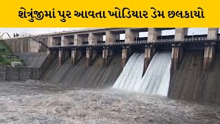 Amreli માં શેત્રુંજી નદીમાં પુર આવતા ખોડિયાર ડેમ ફરી છલકાયો | MantavyaNews