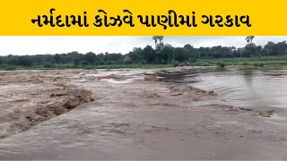 Narmada : વધુ વરસાદને પગલે કોજવે પાણીમાં ગરકાવ થતાં લોકો મુશ્કેલીમાં | MantavyaNews