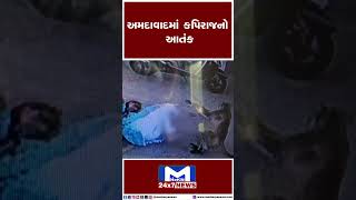 અમદાવાદમાં વાંદરાના હુમલાના શૉકિંગ CCTV | Ahmedabad | Monkey | Girl |