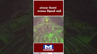 ડાંગરના ખેતરમાં ભગવાન વિઠ્ઠલની છબી | MantavyaNews