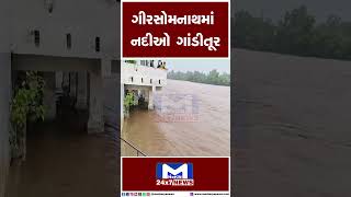 ગિરસોમનાથમાં નદીઓ ગાંડીતૂર | MantavyaNews