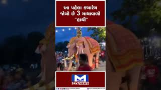 આ પહેલા ક્યારેય જોયો છે 3 માથાવાળો "હાથી" | MantavyaNews