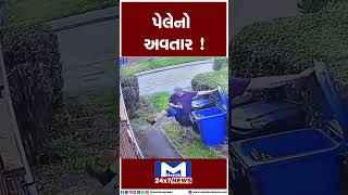 પેલેનો અવતાર ! | MantavyaNews