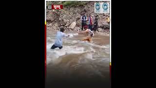 Bridge | Kullu viral video | Risk Of Lives