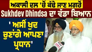 Exclusive: ਅਕਾਲੀ ਦਲ 'ਚੋਂ ਕੱਢੇ ਜਾਣ ਮਗਰੋਂ Sukhdev Dhindsa ਦਾ ਵੱਡਾ ਬਿਆਨ 'ਅਸੀਂ ਖੁਦ ਚੁਣਾਂਗੇ ਆਪਣਾ ਪ੍ਰਧਾਨ'