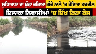 Ludhiana ਦਾ ਬੁੱਢਾ ਦਰਿਆ ਗੰਦੇ ਨਾਲੇ 'ਚ ਹੋਇਆ ਤਬਦੀਲ, ਇਲਾਕਾ ਨਿਵਾਸੀਆਂ 'ਚ ਦਿੱਖ ਰਿਹਾ ਰੋਸ