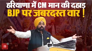 Punjab CM Bhagwant Mann Sonipat में AAP की बदलाव रैली में हुए शामिल, BJP पर साधा निशाना ! | Haryana