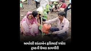 Amreli : શાંતાબેન હરિભાઈ ગજેરા ટ્રસ્ટની ઉમદા કામગીરી