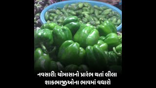 Navsari : ચોમાસાનો પ્રારંભ થતાં લીલા શાકભાજીઓના ભાવમાં વધારો