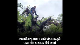 Navsari : જુનાથાના ખાતે એક ઝાડ તૂટી પડતા એક કાર ઝાડ નીચે દબાઈ