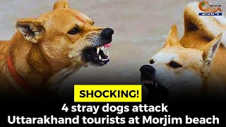 #shocking 4 stray dogs attack Uttarakhand tourists at Morjim beach