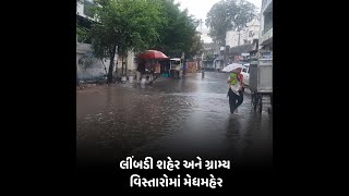 લીંબડી શહેર અને ગ્રામ્ય વિસ્તારોમાં મેધમહેર