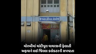 મોરબીમાં ચાંદીપૂરા વાયરસની ફેલાતી અફવાને લઇ જિલ્લા કલેકટરની સપષ્ટતા