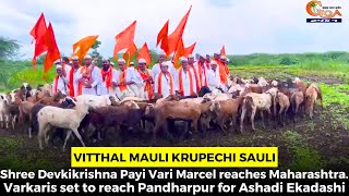 Shree Devkikrishna Payi Vari Marcel reaches Maharashtra. Varkaris set to reach Pandharpur