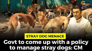 Stray dog menace- Govt to come up with a policy to manage stray dogs: CM