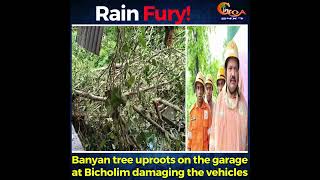 #RainFury- Banyan tree uproots on the garage at Bicholim damaging the vehicles