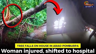 Tree Falls on House in Arao-Pomburpa Woman injured, shifted to hospital