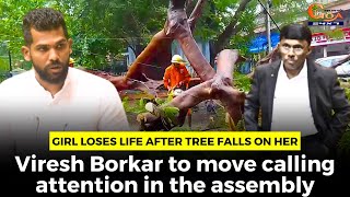 Girl loses life after tree falls on her. Viresh Borkar to move calling attention in the assembly