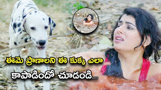 ఈమె ప్రాణాలని ఈ కుక్క ఎలా కాపాడిందో చూడండి | Panchami Telugu Full Movie Scenes | Archana