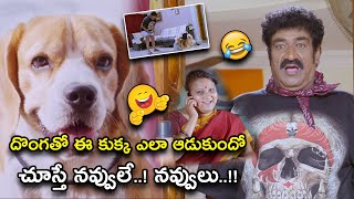 దొంగతో ఈ కుక్క ఎలా ఆడుకుందో చూస్తే నవ్వులే..! నవ్వులు | Tommy Telugu Movie Scenes | Rajendra Prasad