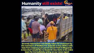 #Humanity still exists ❤- Thank you Welfare For Animals in Goa Anjuna Panchayat & lifeguards