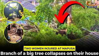 Two women injured at Mapusa. Branch of a big tree collapses on their house