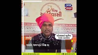 દાહોદ: ઝાલોદ ગામ ખાતે વિશ્વ આદિવાસી દિવસ ઉજવાયો