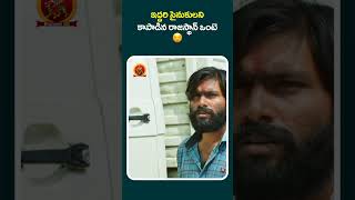 ఇద్దరి సైనుకులని కాపాడిన రాజస్థాన్ ఒంటె ???? #DearSaraa #shortvideos #shortfeed #shortsviral