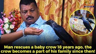 #Unbelievablestory! Man rescues a baby crow ????‍⬛ 18 years ago, the crow becomes