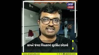 Amreli : ગોખરવાળા ગામના ખેડૂતના ઘરમાંથી સાપનું રેસ્ક્યુ