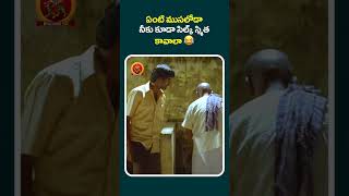 ఏంటి ముసలోడా నీకు కూడా సిల్క్ స్మిత కావాలా ????#famouslover #shortfeed #shortvideos #shortsviral