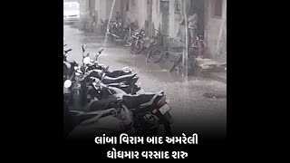 લાંબા વિરામ બાદ amreli ધોધમાર વરસાદ શરુ