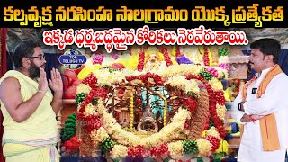 కల్పవృక్ష నరసింహ సాలగ్రామం. | Kalpavruksha Narasimha Salagramam | Astrologer Krishna Chaitanya Swamy