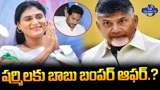 షర్మిలకు బాబు బంపర్ అఫర్..? | AP CM Chandrababu Naidu Big Offer to YS Sharmila | Top Telugu TV