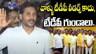 వాళ్ళు టీడీపీ లీడర్స్ కాదు, టీడీపీ గుండాలు. | YS Jagan Comments On TDP Leaders | CM Chandrababu