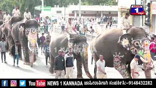 ಅಭಿಮನ್ಯು ಟೀಂ ಶಿಸ್ತು ಹೇಗಿದೆ ನೋಡಿ.. ಸಿಪಾಯಿಗಳಂತೆ ಒಂದರ ಹಿಂದೆ ಒಂದು ಗಾಂಭೀರ್ಯದಿಂದ ಹೆಜ್ಜೆ ಇಟ್ಟ ಗಜಪಡೆ..!