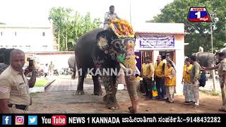 ಇಲ್ನೋಡಿ.. ‘ದಸರಾ ಆನೆ’ಗಳ ತೂಕ ಪರೀಕ್ಷೆ ಹೇಗೆ ನಡೀತಿದೆ..! | @News1Kannada | Mysuru