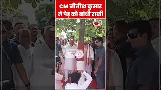 CM Nitish Kumar ने रक्षाबंधन के अवसर पर पेड़ को बांधी राखी #shorts #ytshorts #viralvideo