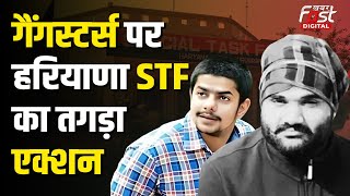 Haryana News: गैंगस्टरों को पड़ने के लिए STF ने निकाला राम बाण, Goldy Brar समेत ये होंगे गिरफ्तार