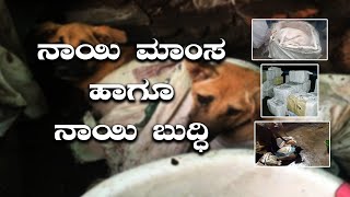 ನಾಯಿ ಮಾಂಸ ಹಾಗೂ ನಾಯಿ ಬುದ್ಧಿ || KATHEKARANA || PEROORU JARU || V4NEWS