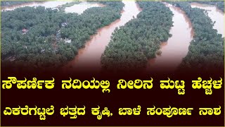 ಸೌಪರ್ಣಿಕ ನದಿಯಲ್ಲಿ ನೀರಿನ ಮಟ್ಟ ಹೆಚ್ಚಳ: ಎಕರೆಗಟ್ಟಲೆ ಭತ್ತದ ಕೃಷಿ, ಬಾಳೆ ಸಂಪೂರ್ಣ ನಾಶ