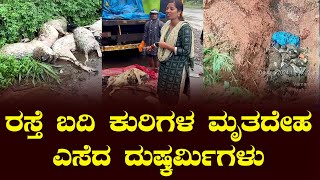 ರಸ್ತೆ ಬದಿ ಕುರಿಗಳ ಮೃತದೇಹ ಎಸೆದ ದುಷ್ಕರ್ಮಿಗಳು : ಮುಕ್ಕ ಭಾಗದ ಹಳೆ ಟೋಲ್ಗೇಟ್ ಬಳಿ ಸರ್ವಿಸ್ ರಸ್ತೆಯಲ್ಲಿ ಘಟನೆ