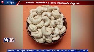 ಸುಧಾರಿತ ತಳಿಗಳ ಪಟ್ಟಿಯಲ್ಲಿ ಪುತ್ತೂರಿನ ಎರಡು ಗೇರು ತಳಿಗಳು...: ಪ್ರಧಾನಿ ನರೇಂದ್ರ ಮೋದಿ ಅವರಿಂದ ಲೋಕಾರ್ಪಣೆ