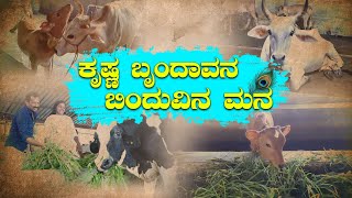 ಕೃಷ್ಣ ಬೃಂದಾವನ ಬಿಂದುವಿನ ಮನ || V4NEWS