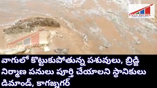 వాగులో కొట్టుకుపోతున్న పశువులు, బ్రిడ్జి నిర్మాణ పనులు పూర్తి చేయాలని స్థానికులు  డిమాండ్, కాగజ్నగర్