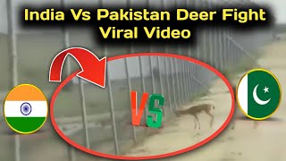 India V/S Pakistan  | Deer War in Pakistan Boarder | #tv11news